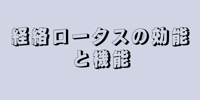 経絡ロータスの効能と機能
