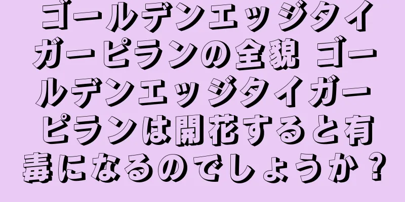 ゴールデンエッジタイガーピランの全貌 ゴールデンエッジタイガーピランは開花すると有毒になるのでしょうか？