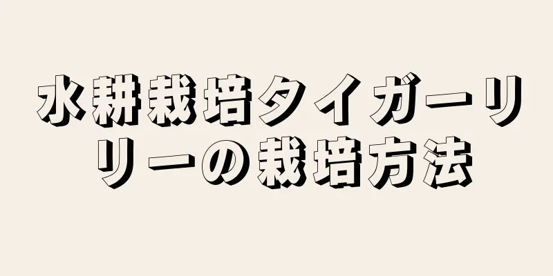 水耕栽培タイガーリリーの栽培方法