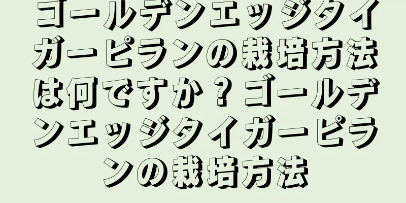 ゴールデンエッジタイガーピランの栽培方法は何ですか？ゴールデンエッジタイガーピランの栽培方法