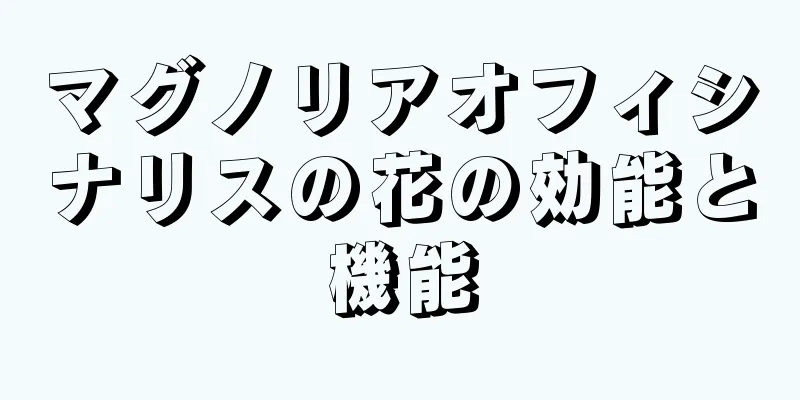 マグノリアオフィシナリスの花の効能と機能