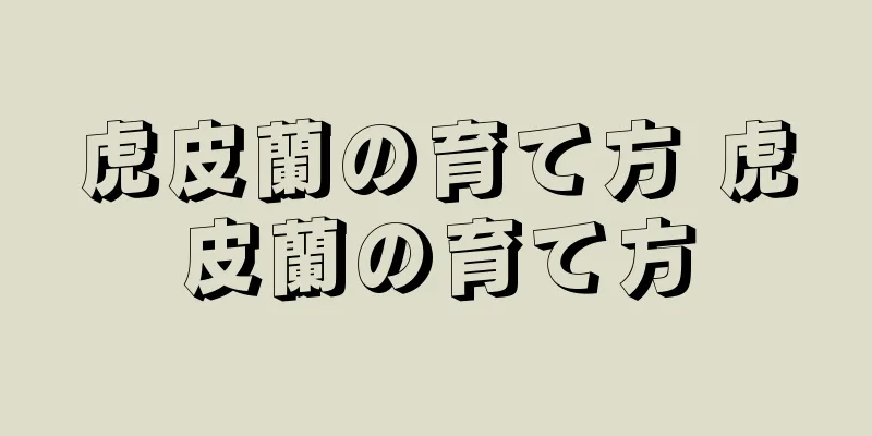 虎皮蘭の育て方 虎皮蘭の育て方