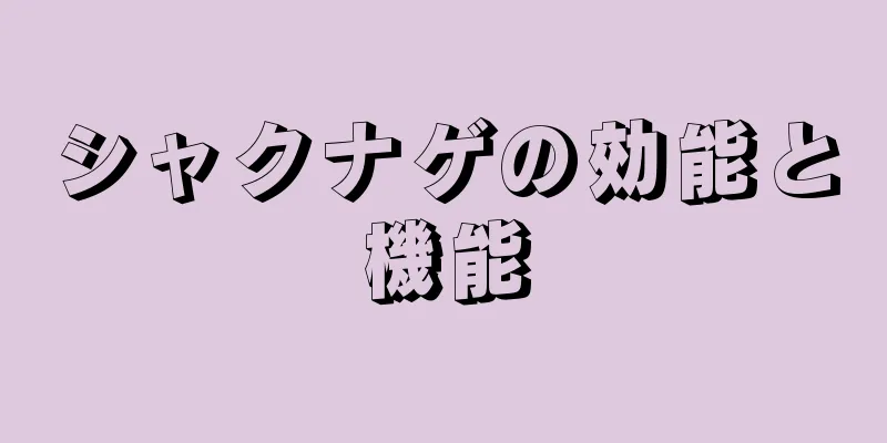 シャクナゲの効能と機能