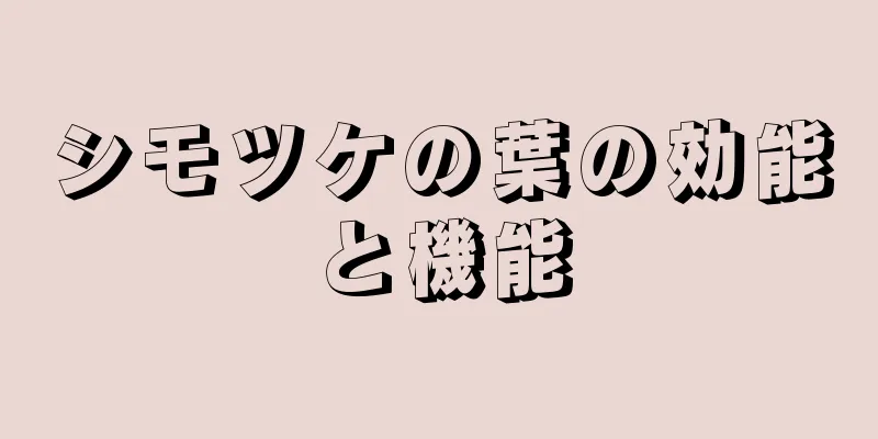 シモツケの葉の効能と機能