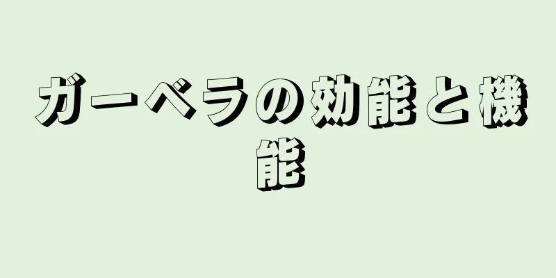 ガーベラの効能と機能