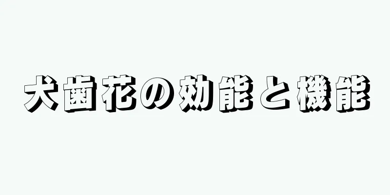 犬歯花の効能と機能