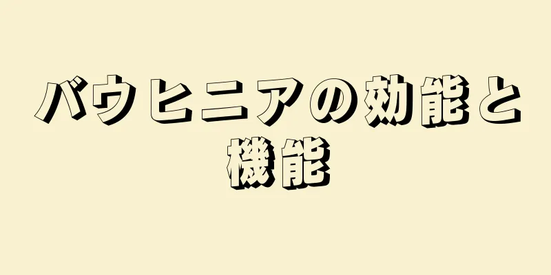 バウヒニアの効能と機能