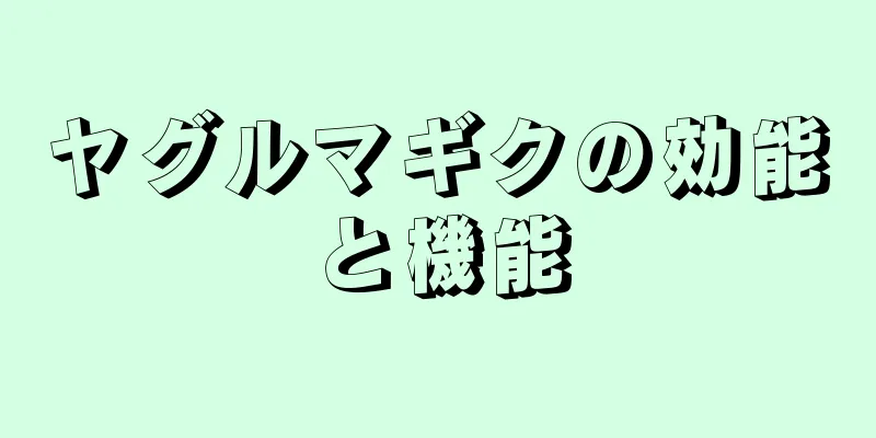 ヤグルマギクの効能と機能