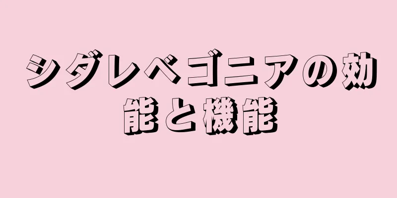 シダレベゴニアの効能と機能