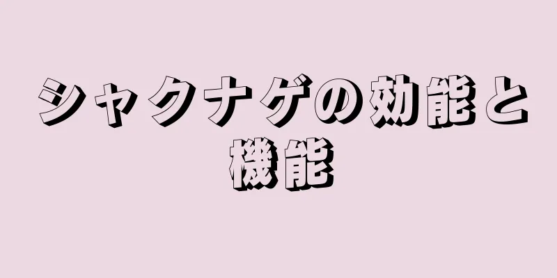 シャクナゲの効能と機能