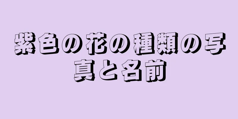 紫色の花の種類の写真と名前
