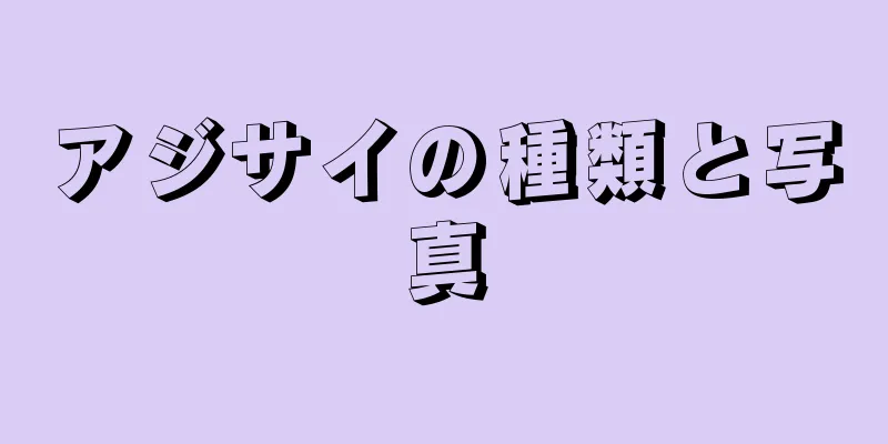 アジサイの種類と写真