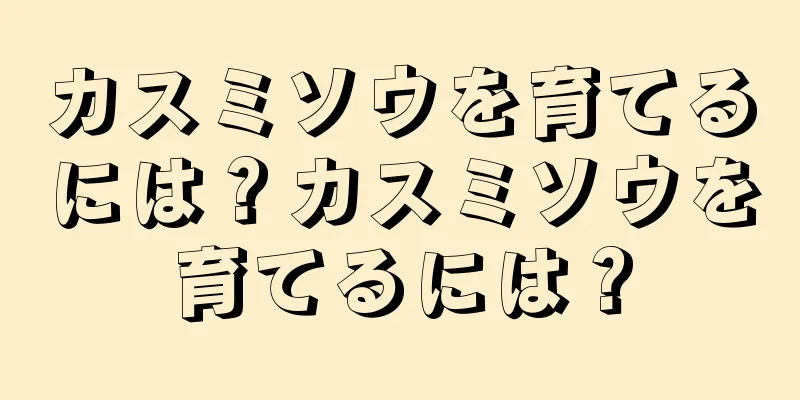 カスミソウを育てるには？カスミソウを育てるには？