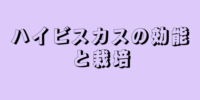 ハイビスカスの効能と栽培