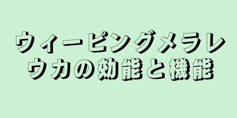 ウィーピングメラレウカの効能と機能