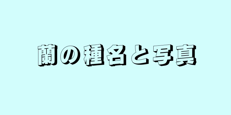 蘭の種名と写真