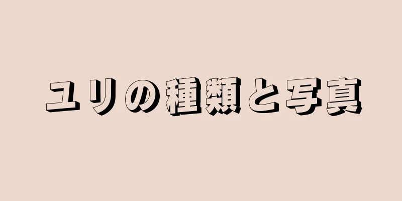 ユリの種類と写真