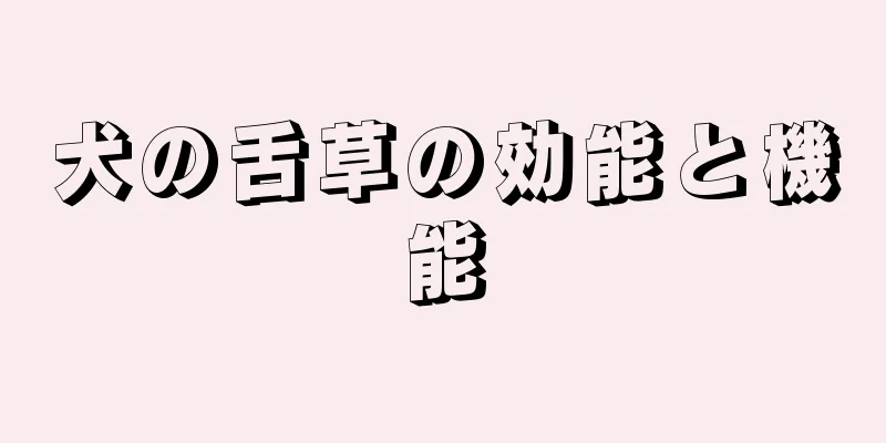 犬の舌草の効能と機能
