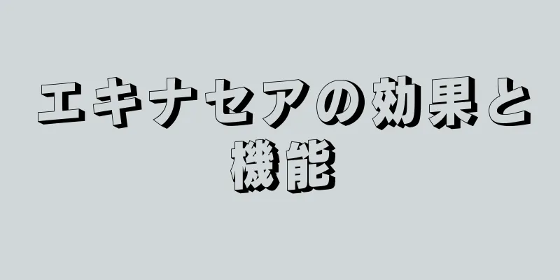エキナセアの効果と機能