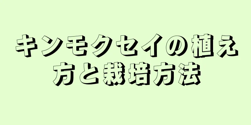 キンモクセイの植え方と栽培方法