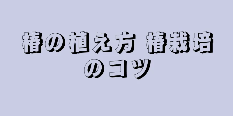 椿の植え方 椿栽培のコツ