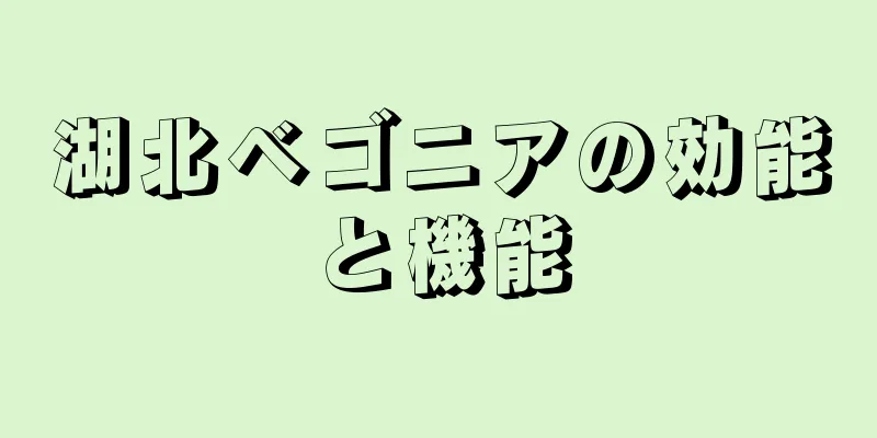 湖北ベゴニアの効能と機能