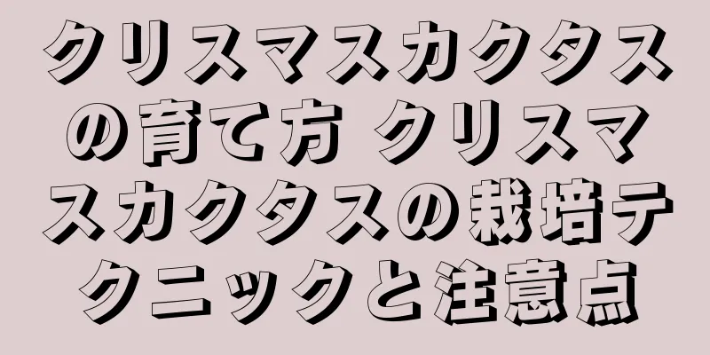 クリスマスカクタスの育て方 クリスマスカクタスの栽培テクニックと注意点