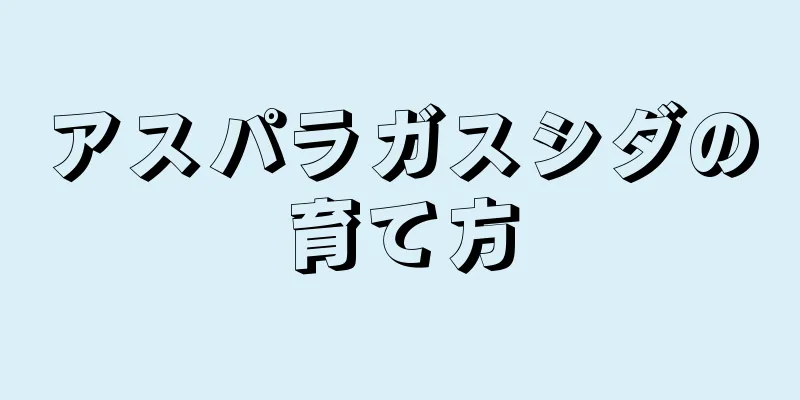 アスパラガスシダの育て方