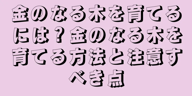 金のなる木を育てるには？金のなる木を育てる方法と注意すべき点