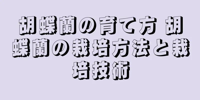 胡蝶蘭の育て方 胡蝶蘭の栽培方法と栽培技術