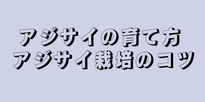 アジサイの育て方 アジサイ栽培のコツ