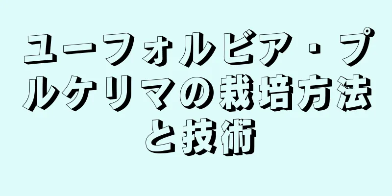 ユーフォルビア・プルケリマの栽培方法と技術