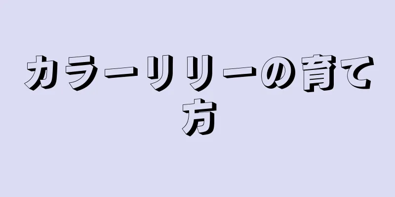 カラーリリーの育て方