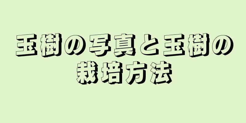 玉樹の写真と玉樹の栽培方法