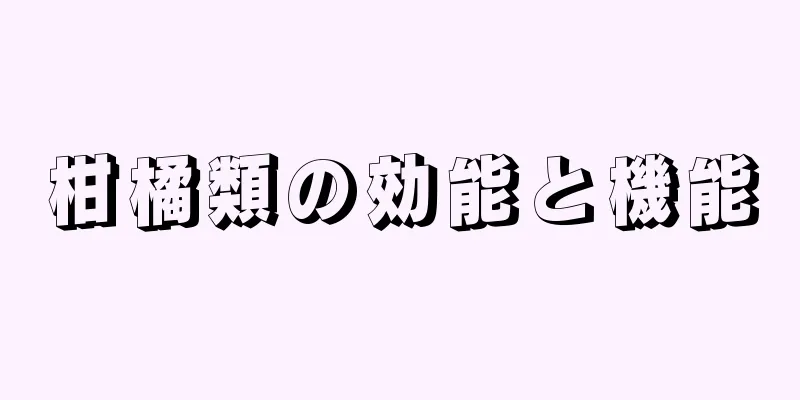 柑橘類の効能と機能