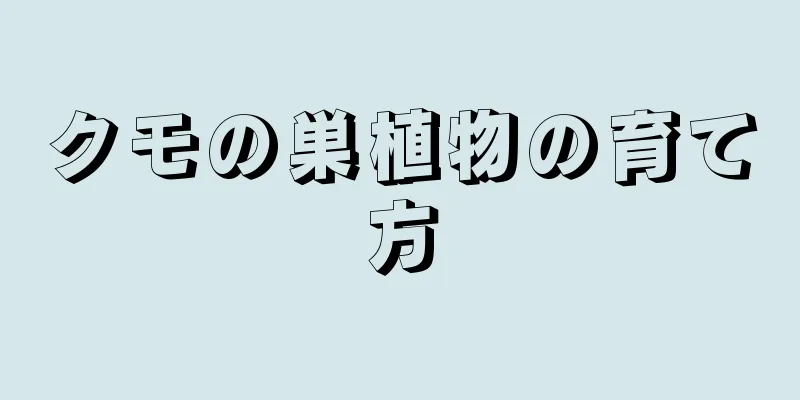 クモの巣植物の育て方
