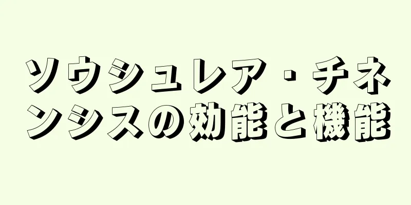 ソウシュレア・チネンシスの効能と機能