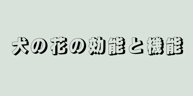 犬の花の効能と機能