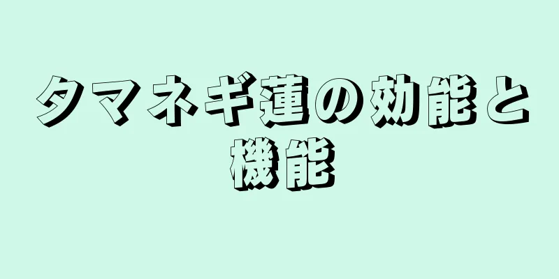 タマネギ蓮の効能と機能