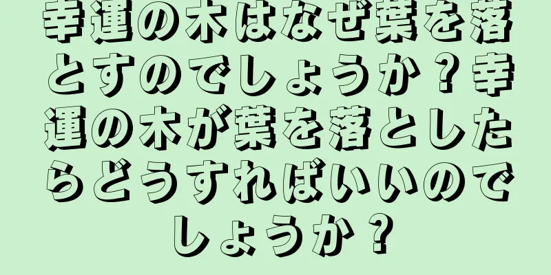 幸運の木はなぜ葉を落とすのでしょうか？幸運の木が葉を落としたらどうすればいいのでしょうか？
