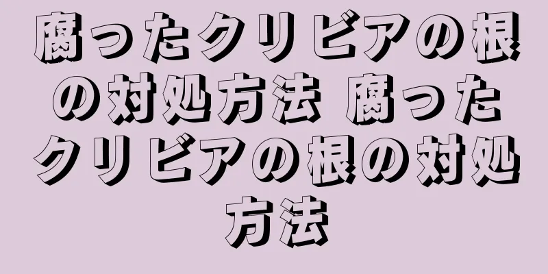 腐ったクリビアの根の対処方法 腐ったクリビアの根の対処方法