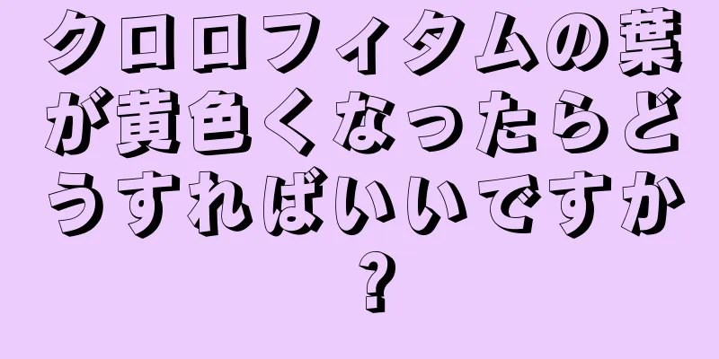 クロロフィタムの葉が黄色くなったらどうすればいいですか？