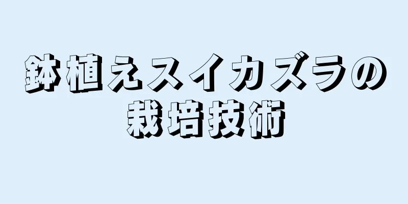 鉢植えスイカズラの栽培技術