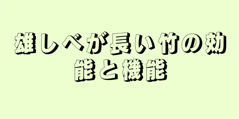 雄しべが長い竹の効能と機能