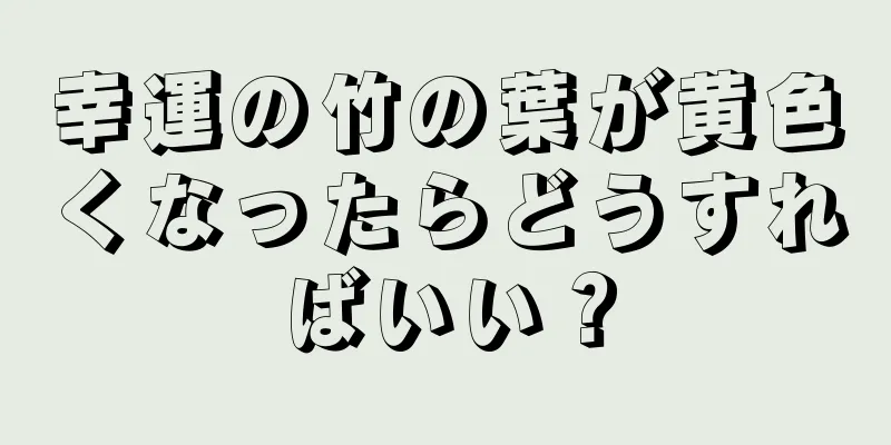 幸運の竹の葉が黄色くなったらどうすればいい？