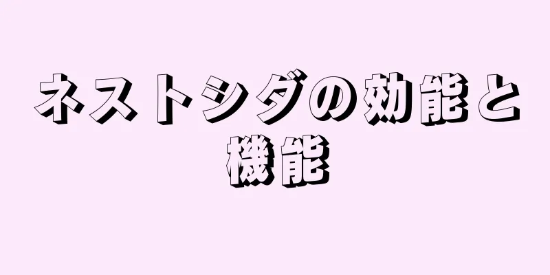 ネストシダの効能と機能