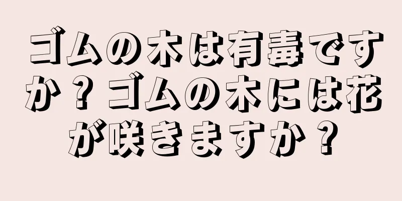 ゴムの木は有毒ですか？ゴムの木には花が咲きますか？