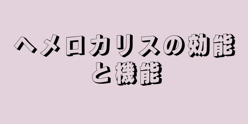ヘメロカリスの効能と機能