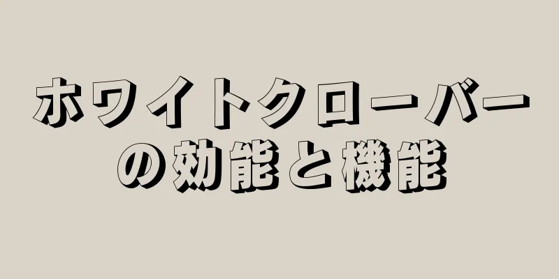 ホワイトクローバーの効能と機能
