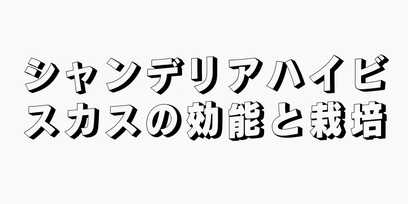 シャンデリアハイビスカスの効能と栽培